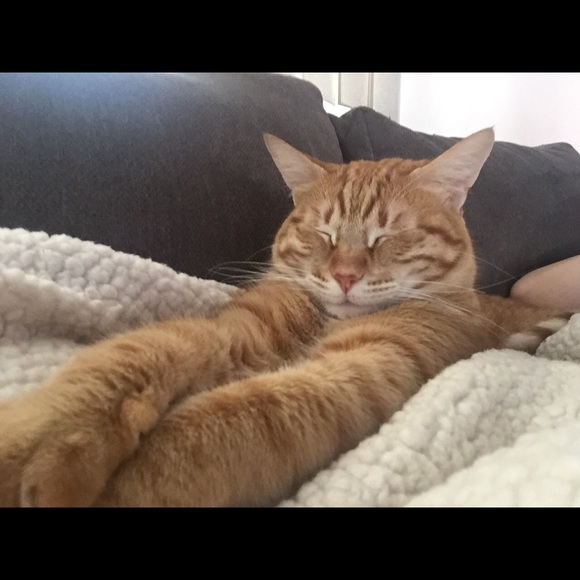 Meet your Posher, Kelly - Picture 1 of 1